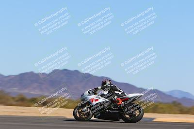 media/Mar-12-2022-SoCal Trackdays (Sat) [[152081554b]]/Turn 9 Side (145pm)/